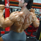 Back Training Tips!